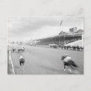 Search for equestrian image postcards Vintage