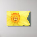 Search for yellow daffodil canvas prints Plant