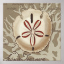Search for sonnets posters Seashells