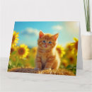 Search for cat and sunflowers cards Thinking of you