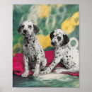 Search for dalmatian art Animal lovers