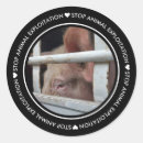 Search for activism stickers Animal rights