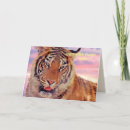 Search for tiger kid cards Boy
