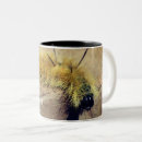 Search for caterpillar mugs Insect