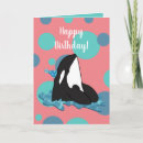 Search for orcas Whale