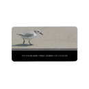 Search for bird return address labels Ocean