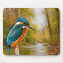 Search for kingfish mouse mats King fisher