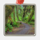 Search for olympic national park christmas tree decorations Scenic