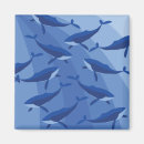 Search for wave pattern magnets Illustration