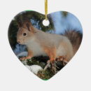Search for squirrel christmas tree decorations Nature