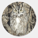 Search for bubo stickers Great horned owl