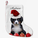 Search for bernese mountain dog christmas stockings Xmas