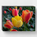 Search for black tulip posters Nature