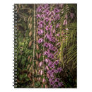 Search for collectable photography Collectibles