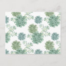 Search for succulent postcards Cactus