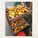 Search for harvest planners Pumpkins