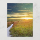 Search for prairies postcards Sunset