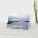 Search for marshland Sunset