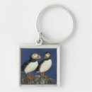 Search for beak key rings Wild