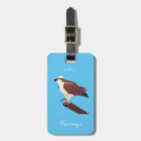 Search for hawk accessories Hunter