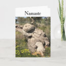 Search for positioning cards Namaste