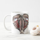 Search for human eye mugs Eyes