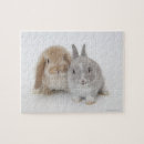 Search for lop rabbits puzzles Grey