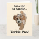 Search for yorkie cards Pet