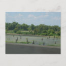 Search for wetlands postcards Photography