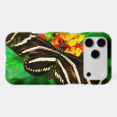 Search for zebra longwing Butterfly