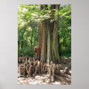 Search for mole posters Nature