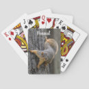 Search for squirrel playing cards Rodent