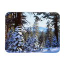 Search for fir magnets Blue