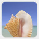 Search for mollusk stickers Ocean