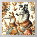 Search for borzois posters Borzoi dog