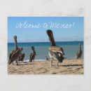 Search for bum postcards Sand