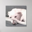 Search for owner canvas prints Cute