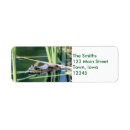 Search for lily pad return address labels Pond