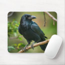 Search for crow electronics Branch