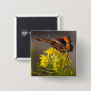 Search for colourful insect badges Floral