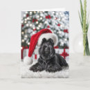 Search for scottish terrier christmas cards Scotty
