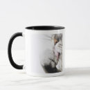 Search for studio shot mugs Square