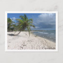 Search for mayan postcards Sand
