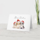 Search for cute puppy christmas cards Puppies