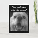 Search for veterinarian jokes Get well