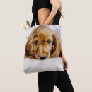 Search for cocker spaniel bags Pet