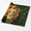 Search for lion king wrapping paper Jungle