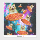 Search for white cat stickers Kitten