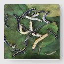 Search for crappie posters Outdoors