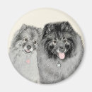 Search for spitz magnets Black